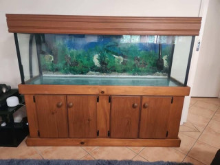 5 fish tank, with wooden cabinet cover and base, and glass covers