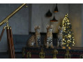 serval-savannah-and-caracal-kittens-available-small-4